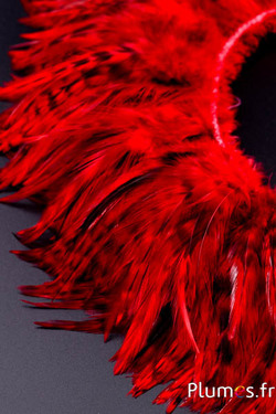 Frangia gallo chin - lungo. piume 10-15 cm - rosso